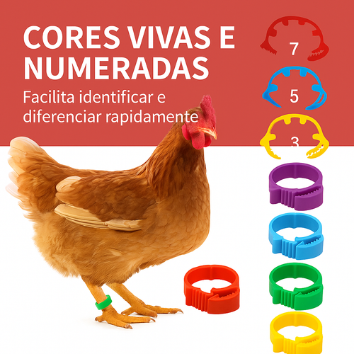 Anilhas de Identificação Ajustáveis para Aves