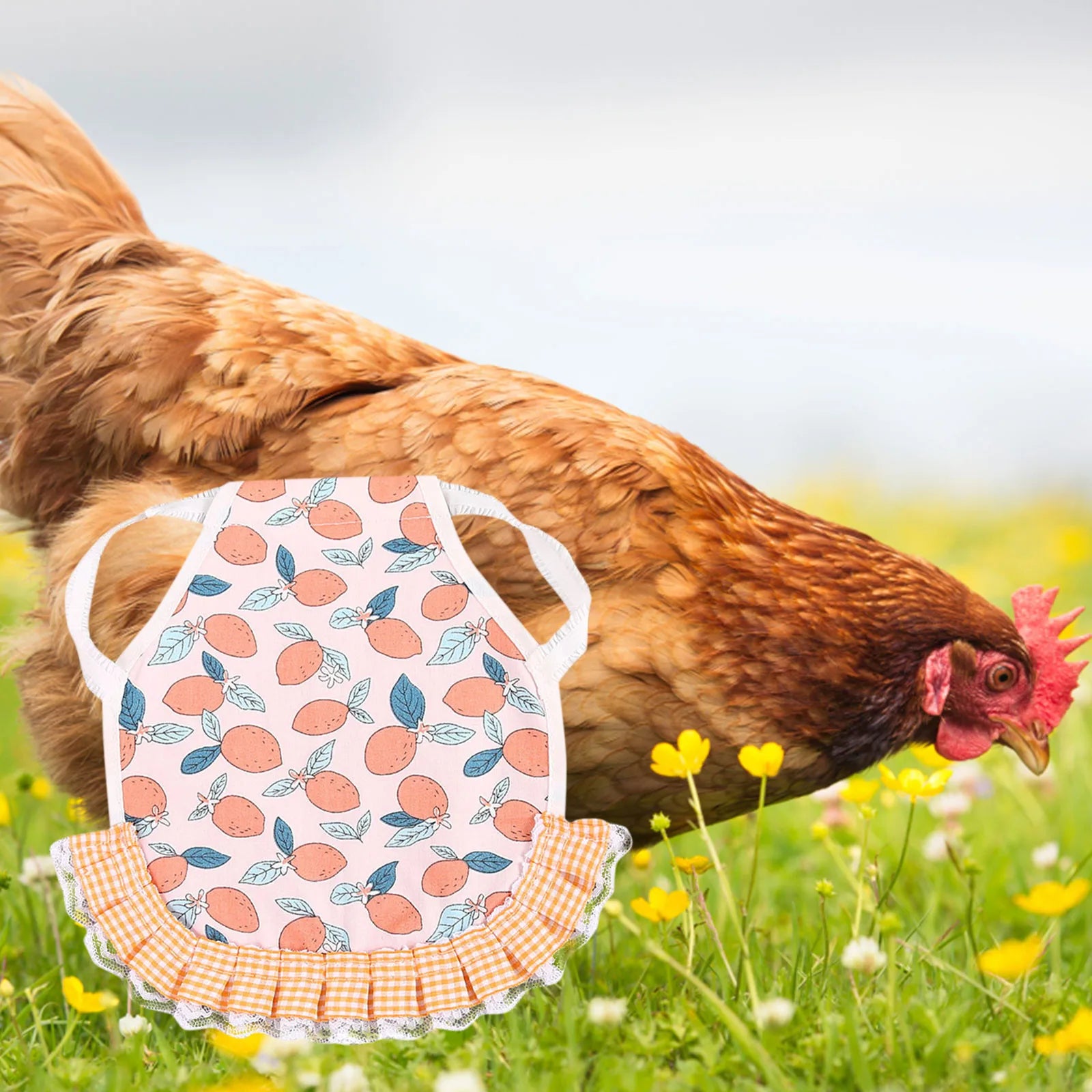 1PC Hen Apron Elastic Chicken Saddle Feather Protector Adjustable Pet Clothes Birds Chicken Dress Poultry Apron for Cold Weather
