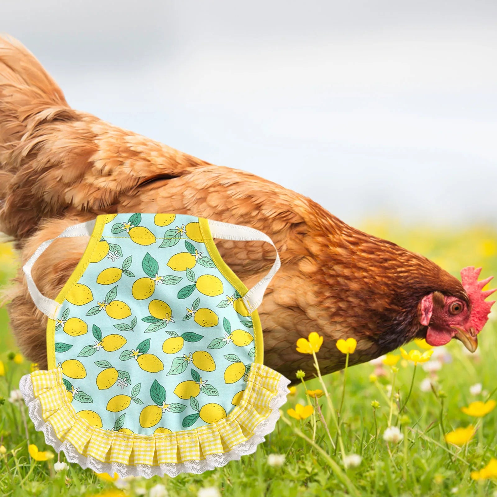 1PC Hen Apron Elastic Chicken Saddle Feather Protector Adjustable Pet Clothes Birds Chicken Dress Poultry Apron for Cold Weather