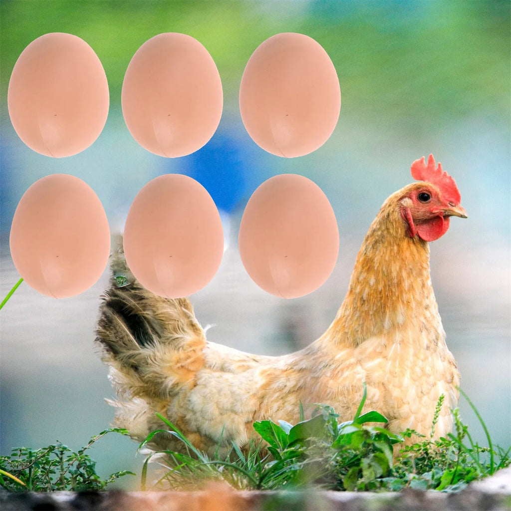 Ovos de plástico realista.