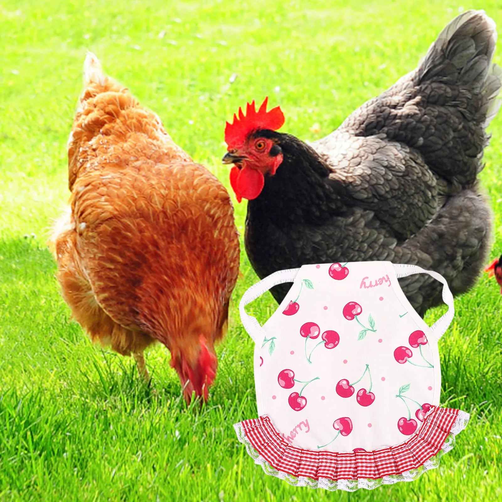 1PC Hen Apron Elastic Chicken Saddle Feather Protector Adjustable Pet Clothes Birds Chicken Dress Poultry Apron for Cold Weather