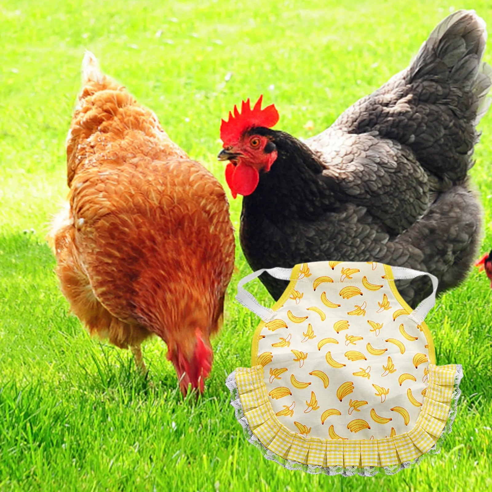 1PC Hen Apron Elastic Chicken Saddle Feather Protector Adjustable Pet Clothes Birds Chicken Dress Poultry Apron for Cold Weather