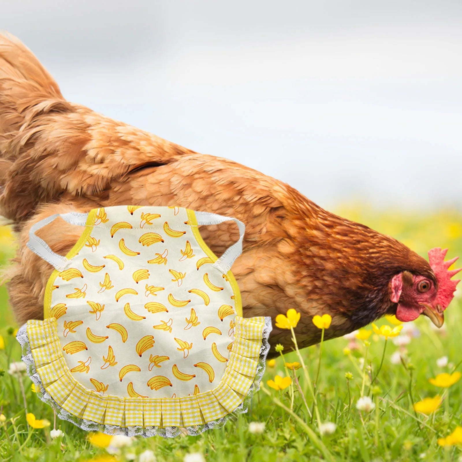 1PC Hen Apron Elastic Chicken Saddle Feather Protector Adjustable Pet Clothes Birds Chicken Dress Poultry Apron for Cold Weather